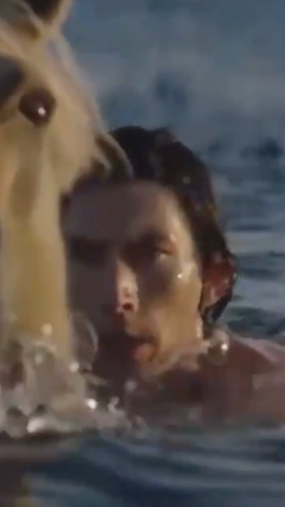 Is Adam Driver A Horse Man In This Burberry Commercial?