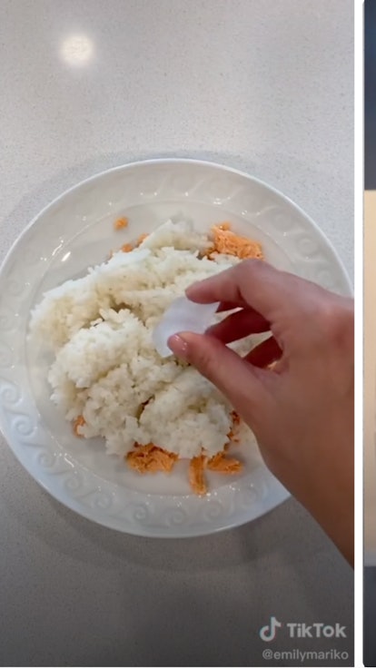 But How Does The Ice Not Melt In Emily Mariko's Salmon Rice Bowl TikTok?
