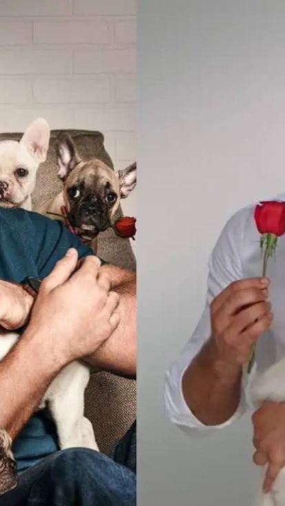 Colton, I Mean, Clayton — We're All Mixing Up The 'Bachelor' Stars