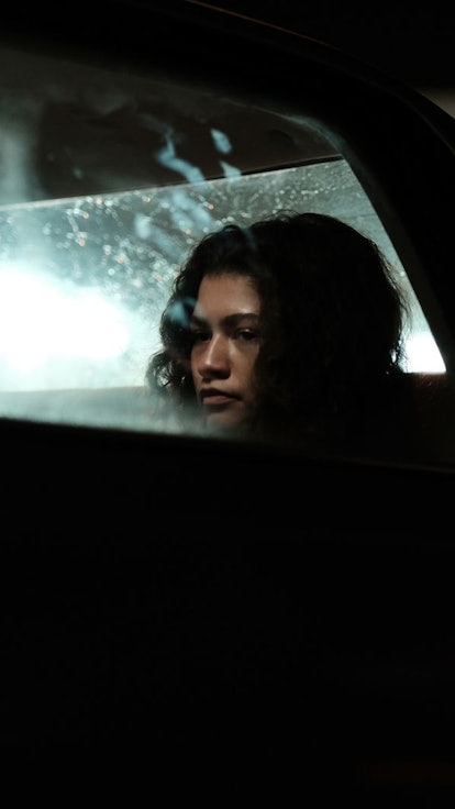 Laurie's Birds On 'Euphoria' Represent Something Terrifying For Rue
