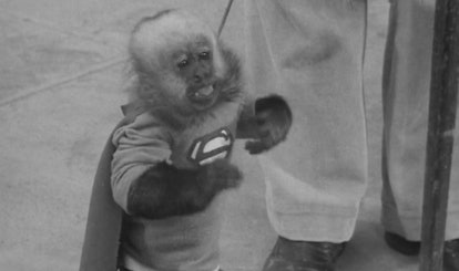 I Watched All The Comic Book Adaptations Of 1952, & Look! It's Supermonkey!