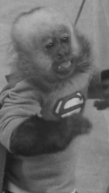 I Watched All The Comic Book Adaptations Of 1952, & Look! It's Supermonkey!